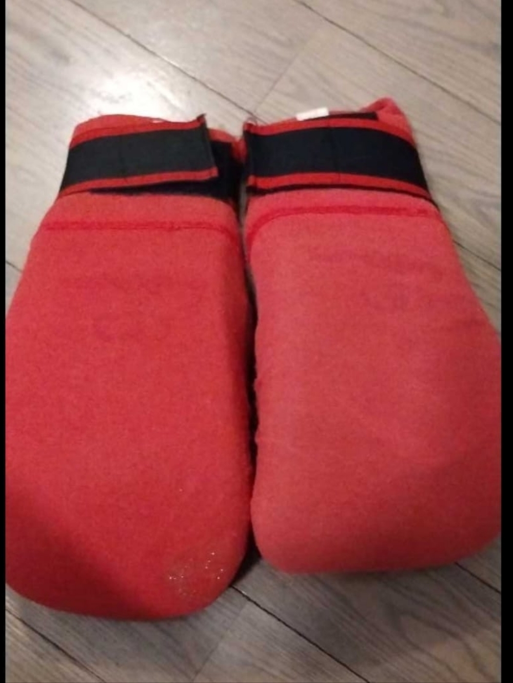 Martial Arts Sparring Gloves